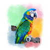 Parrot