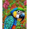 Parrot