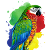 Parrot