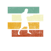 Boxing Retro