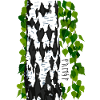 Birch Freya