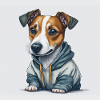 Jack Russel Terrier