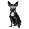 CENSORED CHIWAWA