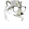 Badger Sunglasses