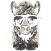 Alpaca Sunglasses