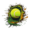 Tennis ball