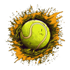 Tennis ball