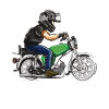 Simsonfahrer S50 S51 Cyclomoteur Simme