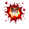 Comic Dog Design - Pow - Chihuahua
