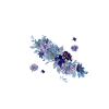 Ballet Danseuse Danse Ballerine