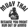 Thaiboxen Muay Thai
