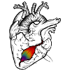 Scars on the heart