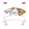 Jack Russell Terrier