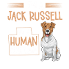 Jack Russell Terrier
