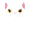 Black cat