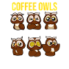 Coffee Owl