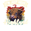 Highland Cattle Cow