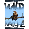 wild nature nature wilderness