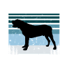 Spansk Mastiff Hund Kærlighed Silhuet Vintage Sunset