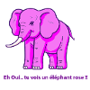 elephant rose