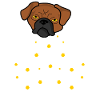 Marguerite Chien De Fleurs