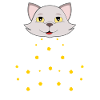 Chat marguerite de fleurs