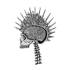 Natural intelligence _ Skull