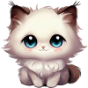 ragdoll