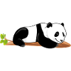 Lazy panda