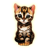 bengal katze