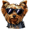 Shih Tzu TheGentlemen