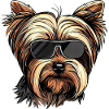 Shih Tzu Wearing Glasses