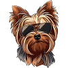 Shih Tzu Art