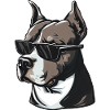 Pitbull The Guardian