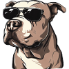 PITBULL LE GANGSTER