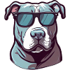 PITBULL THE BULLY