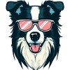 Border Collie Wearing Sunglasses