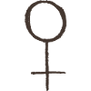 Venus Symbol