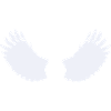 wing