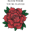 Bloom where you are planted