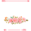 Liebe zu Pferde & Hunden