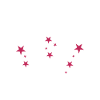 Roller derby