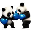 Fighting Panda Bears