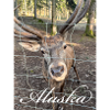 Alaska