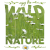Wild Nature Wilderness