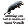 Cameleon