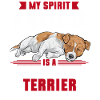 Jack Russell Terrier