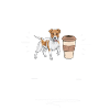 Jack Russell Terrier