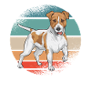 Jack Russell Terrier