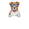 Jack Russell Terrier